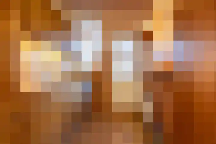 Jacob Roggeveenstraat 20 Den Helder thumbnail 10