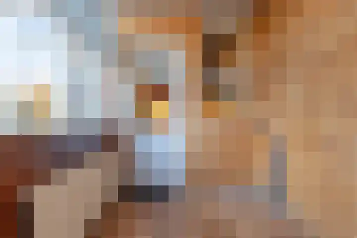 Jacob Roggeveenstraat 20 Den Helder thumbnail 12
