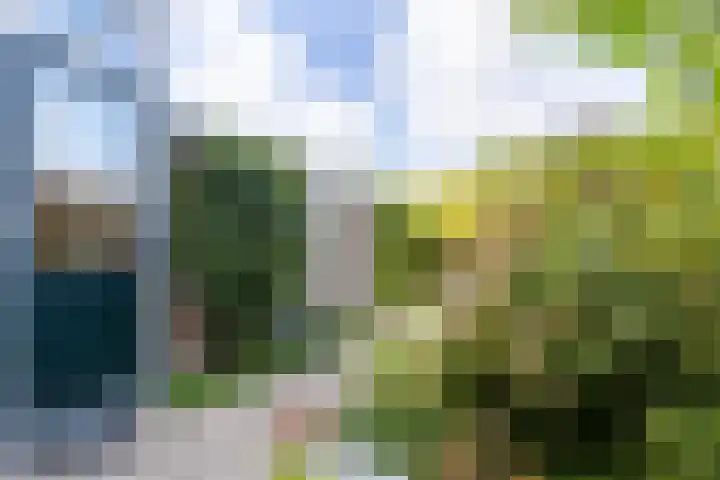 Jacob Roggeveenstraat 20 Den Helder thumbnail 17
