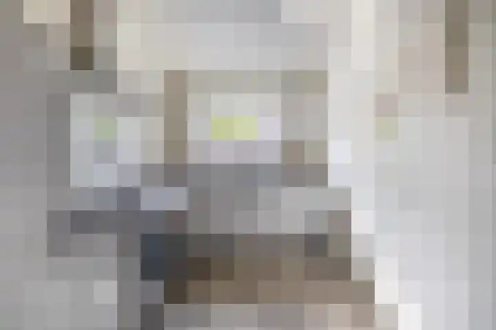 Jacob Roggeveenstraat 21 Tilburg thumbnail 10