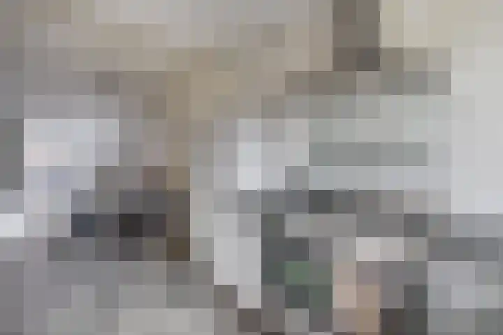 Jacob Roggeveenstraat 21 Tilburg thumbnail 13