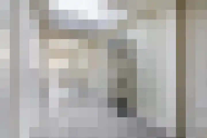 Jacob Roggeveenstraat 21 Tilburg thumbnail 15