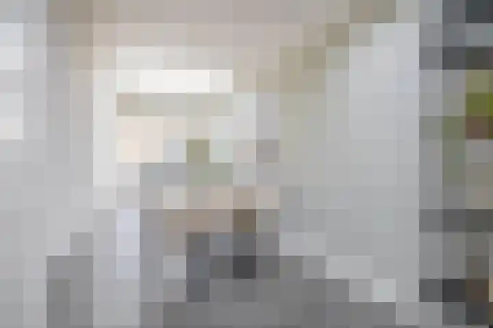 Jacob Roggeveenstraat 21 Tilburg thumbnail 17