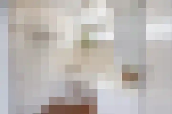 Jacob Roggeveenstraat 21 Tilburg thumbnail 21