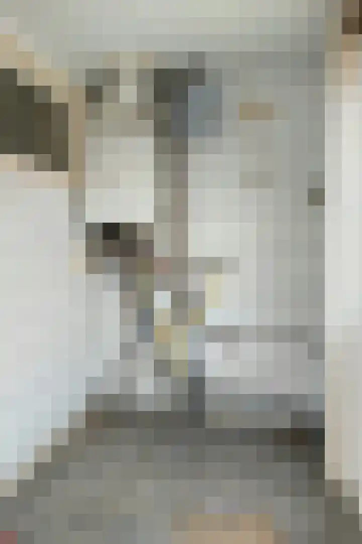 Jacob Roggeveenstraat 21 Tilburg thumbnail 26
