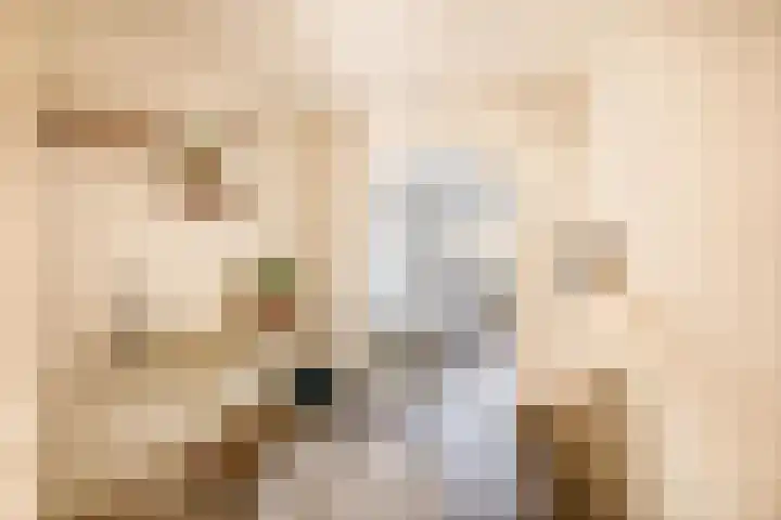 Jacob Roggeveenstraat 21 Tilburg thumbnail 32