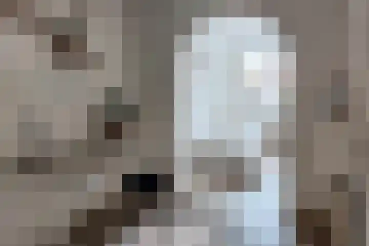 Jacob Roggeveenstraat 21 Tilburg thumbnail 33