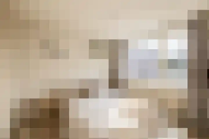 Jacob Roggeveenstraat 21 Tilburg thumbnail 37