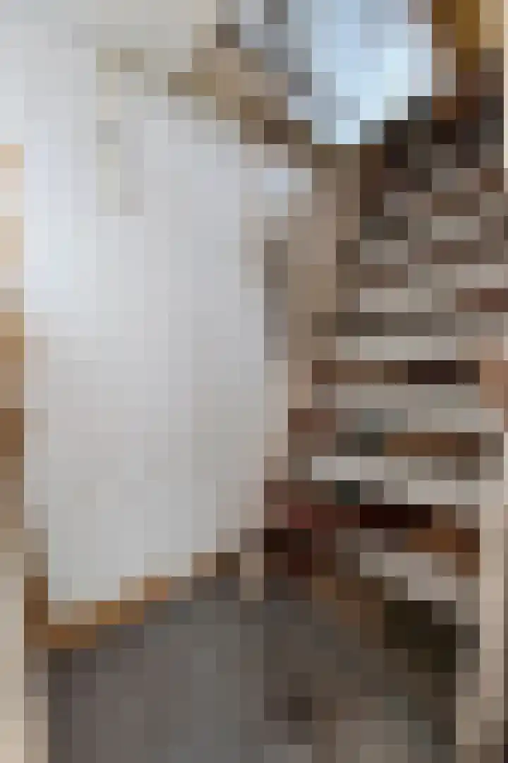 Jacob Roggeveenstraat 21 Tilburg thumbnail 38