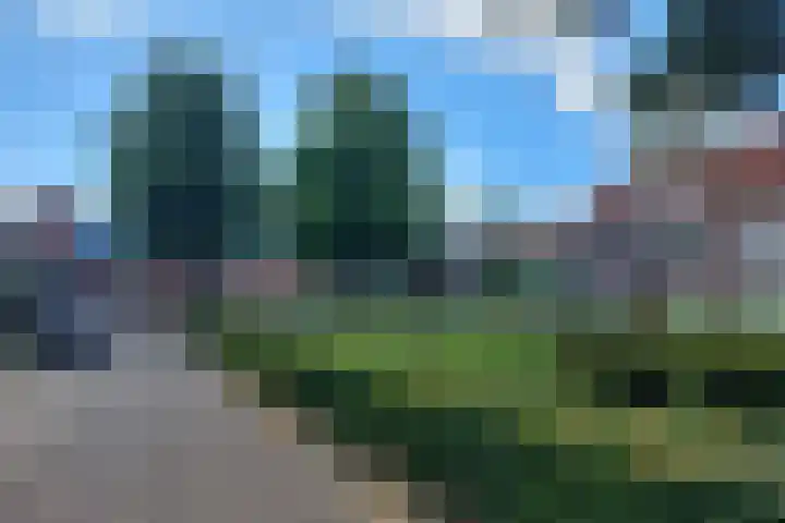 Jacob Roggeveenstraat 21 Tilburg thumbnail 48