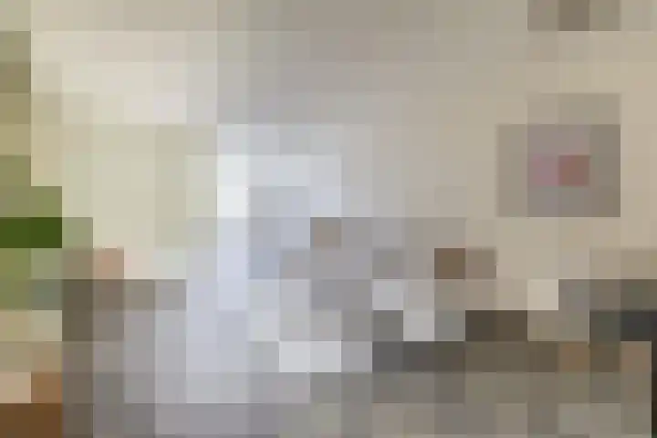 Jacob Roggeveenstraat 21 Tilburg thumbnail 5