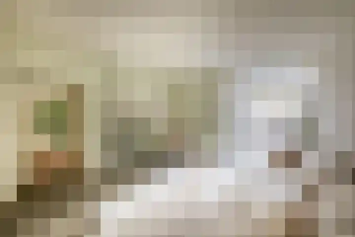 Jacob Roggeveenstraat 21 Tilburg thumbnail 6