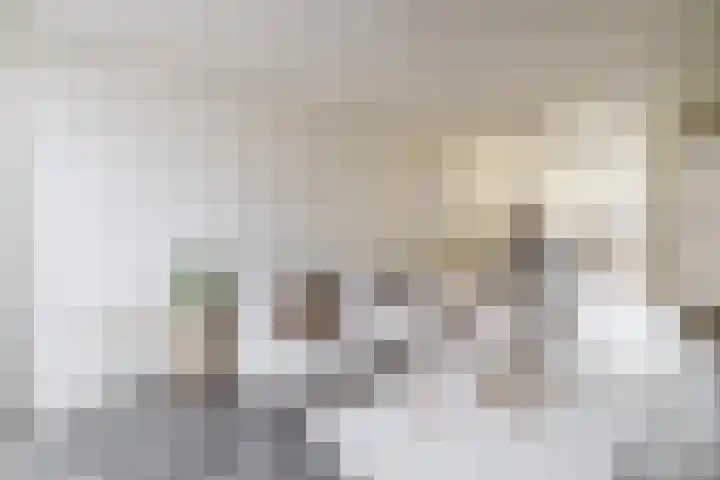 Jacob Roggeveenstraat 21 Tilburg thumbnail 7