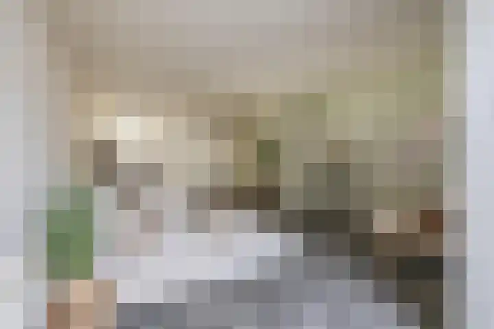 Jacob Roggeveenstraat 21 Tilburg thumbnail 8