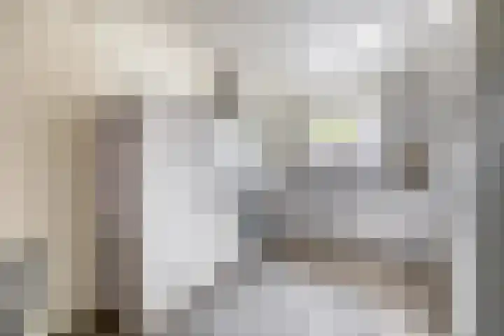 Jacob Roggeveenstraat 21 Tilburg thumbnail 9