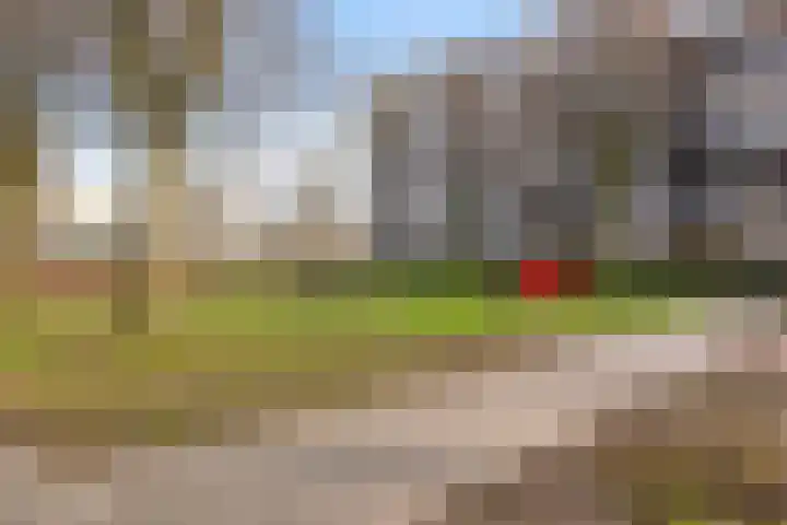 Jacob Roggeveenstraat 27 's-Hertogenbosch thumbnail 23