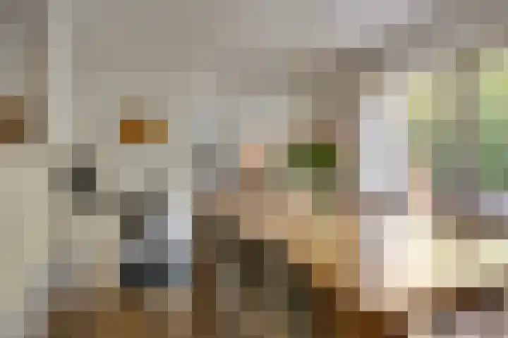 Jacob Roggeveenstraat 27 's-Hertogenbosch thumbnail 7