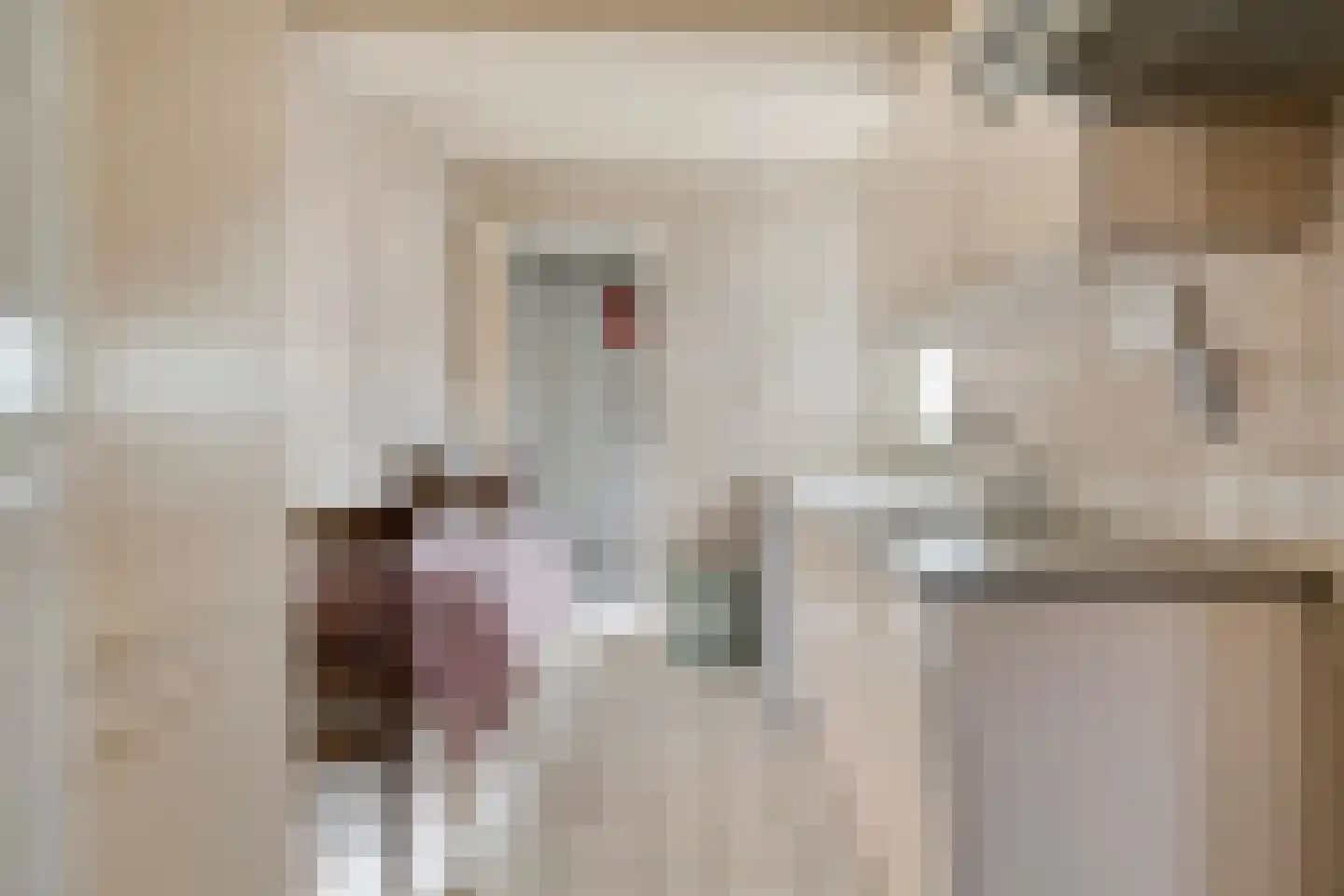 Jacob Roggeveenstraat 36 Goes thumbnail 6