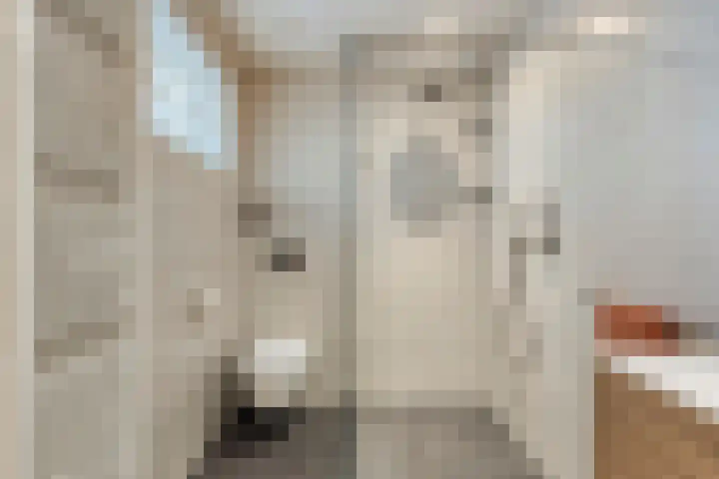 Jacob Roggeveenstraat 5 Tilburg thumbnail 14