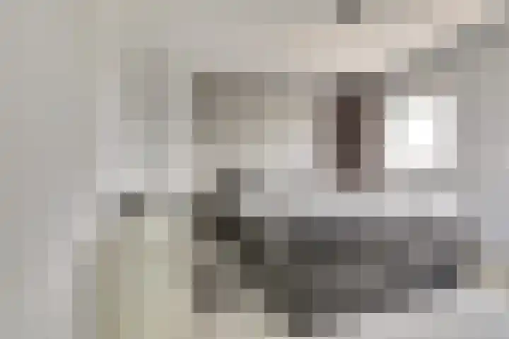 Jacob Roggeveenstraat 6 Goes thumbnail 18