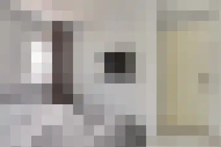 Jacob Roggeveenstraat 6 Goes thumbnail 19