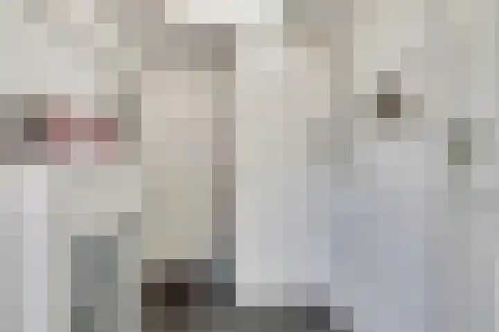 Jacob Roggeveenstraat 6 Goes thumbnail 23