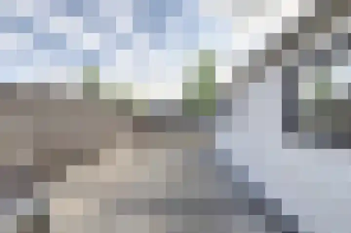 Jacob Roggeveenstraat 6 Goes thumbnail 24