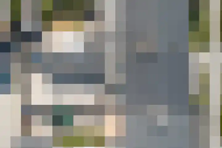 Jacob Roggeveenstraat 6 Goes thumbnail 28