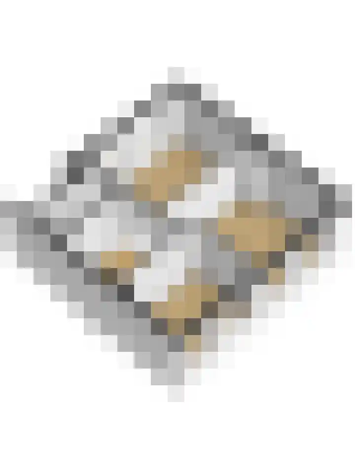 Jacob Roggeveenstraat 6 Goes thumbnail 37