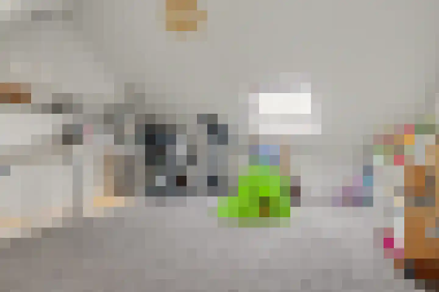 Jacob Roggeveenstraat 7 Goes thumbnail 15