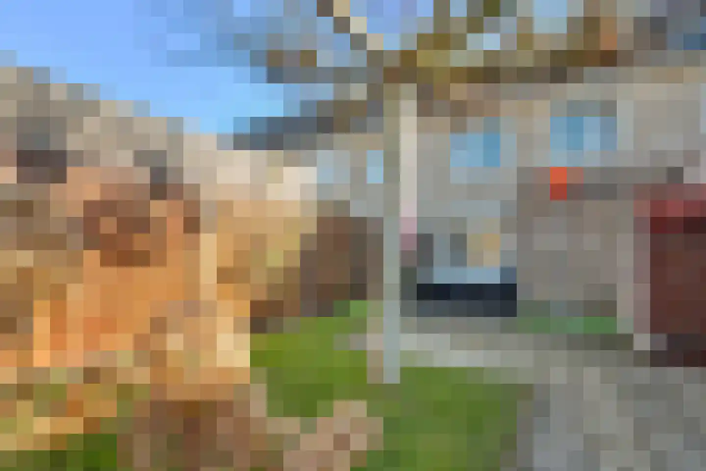 Jacob Roggeveenstraat 7 Goes thumbnail 4