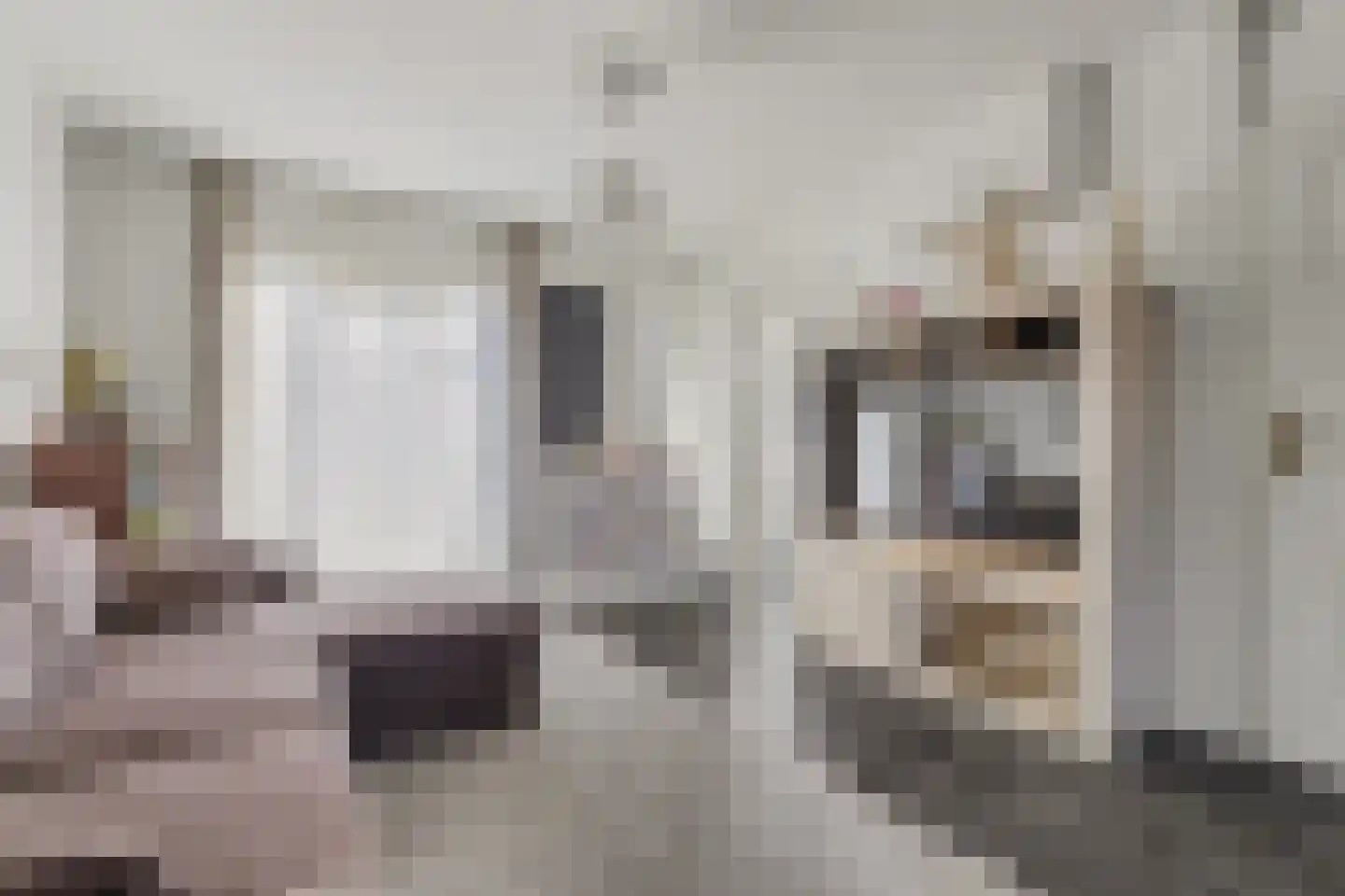 Jacob Roggeveenstraat 7 Goes thumbnail 6