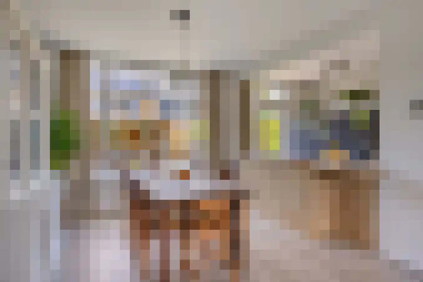 Jacob Roggeveenstraat 7 Oud-Beijerland thumbnail 6