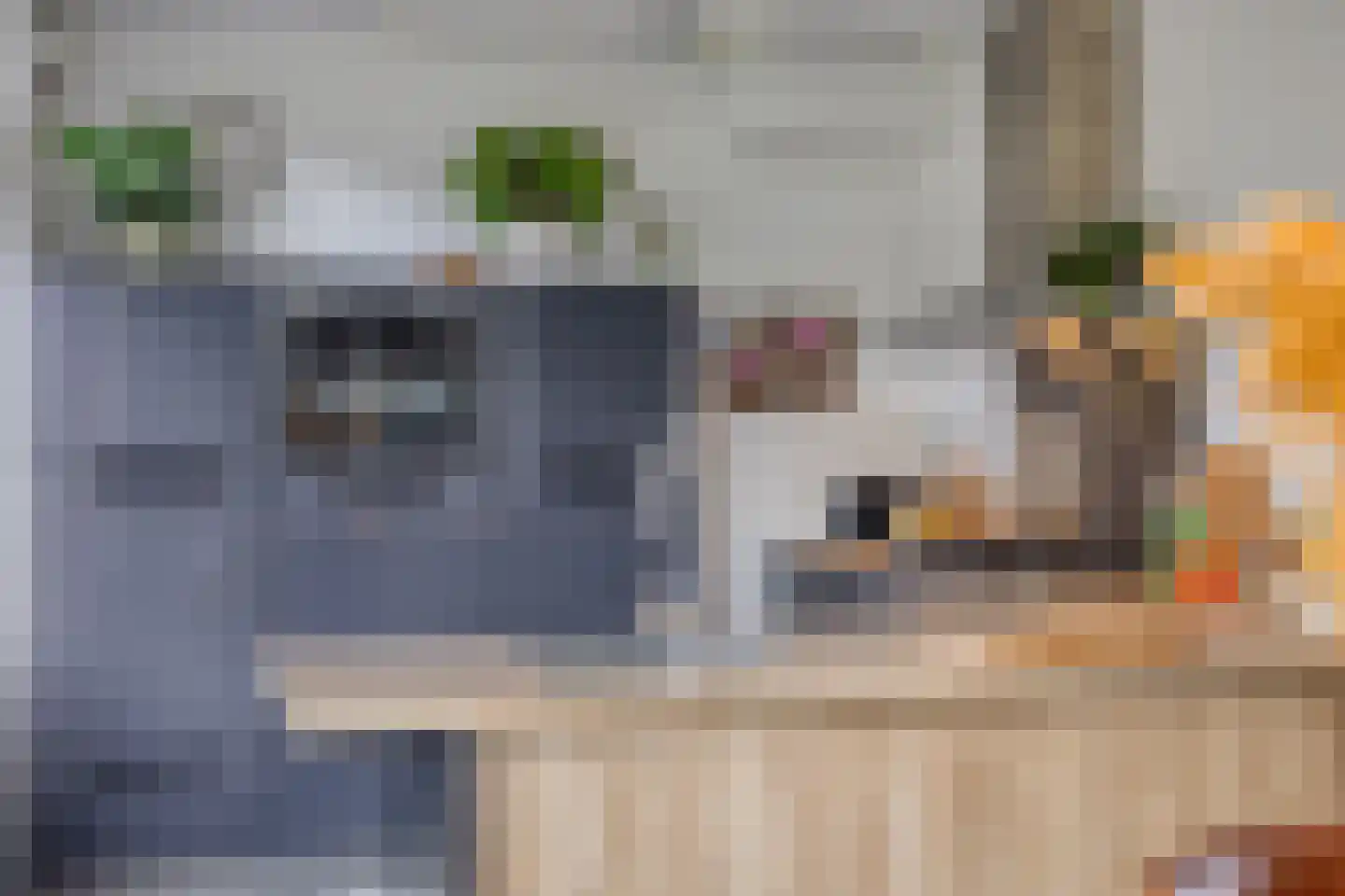 Jacob Roggeveenstraat 7 Oud-Beijerland thumbnail 12