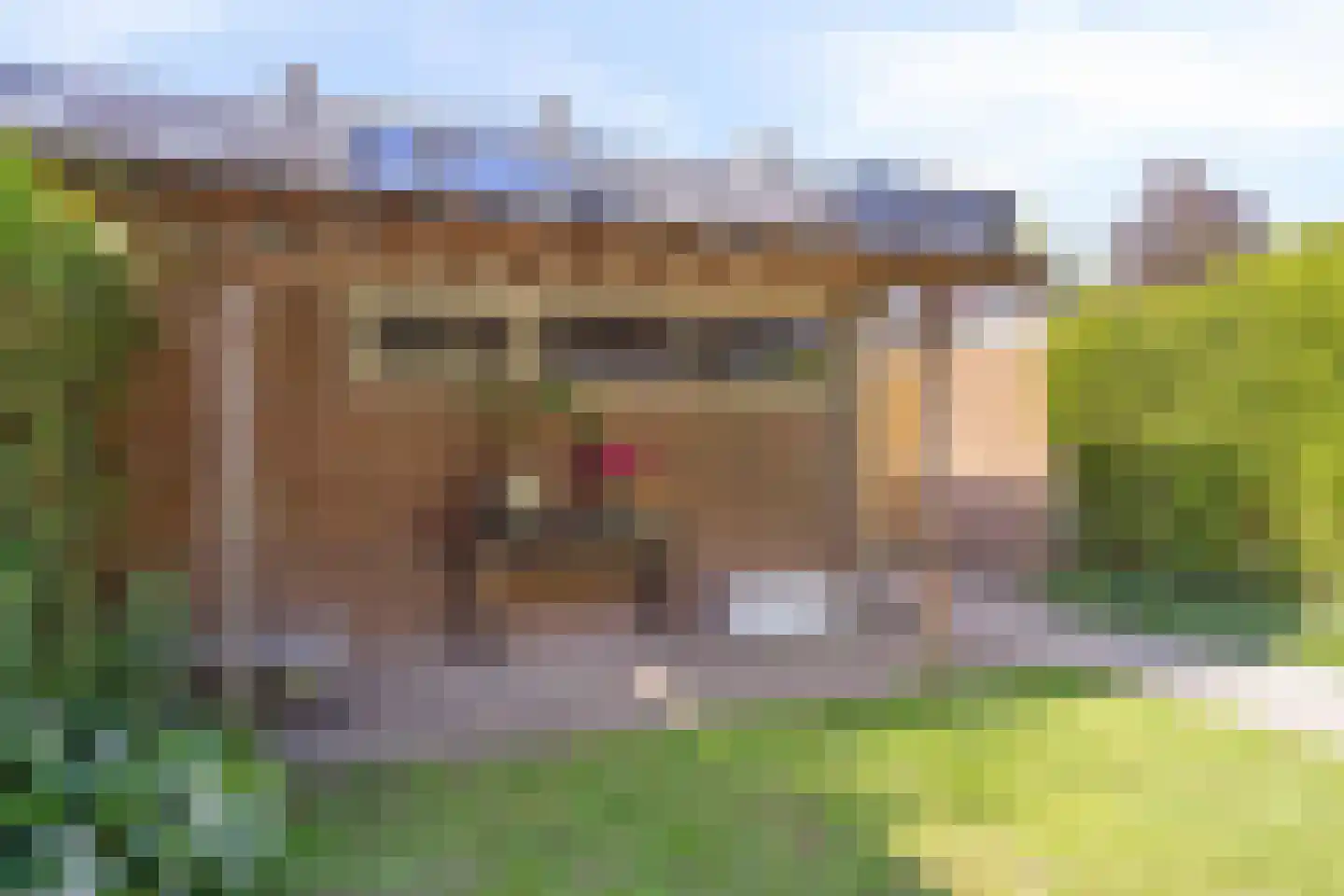 Jacob Roggeveenstraat 7 Oud-Beijerland thumbnail 27