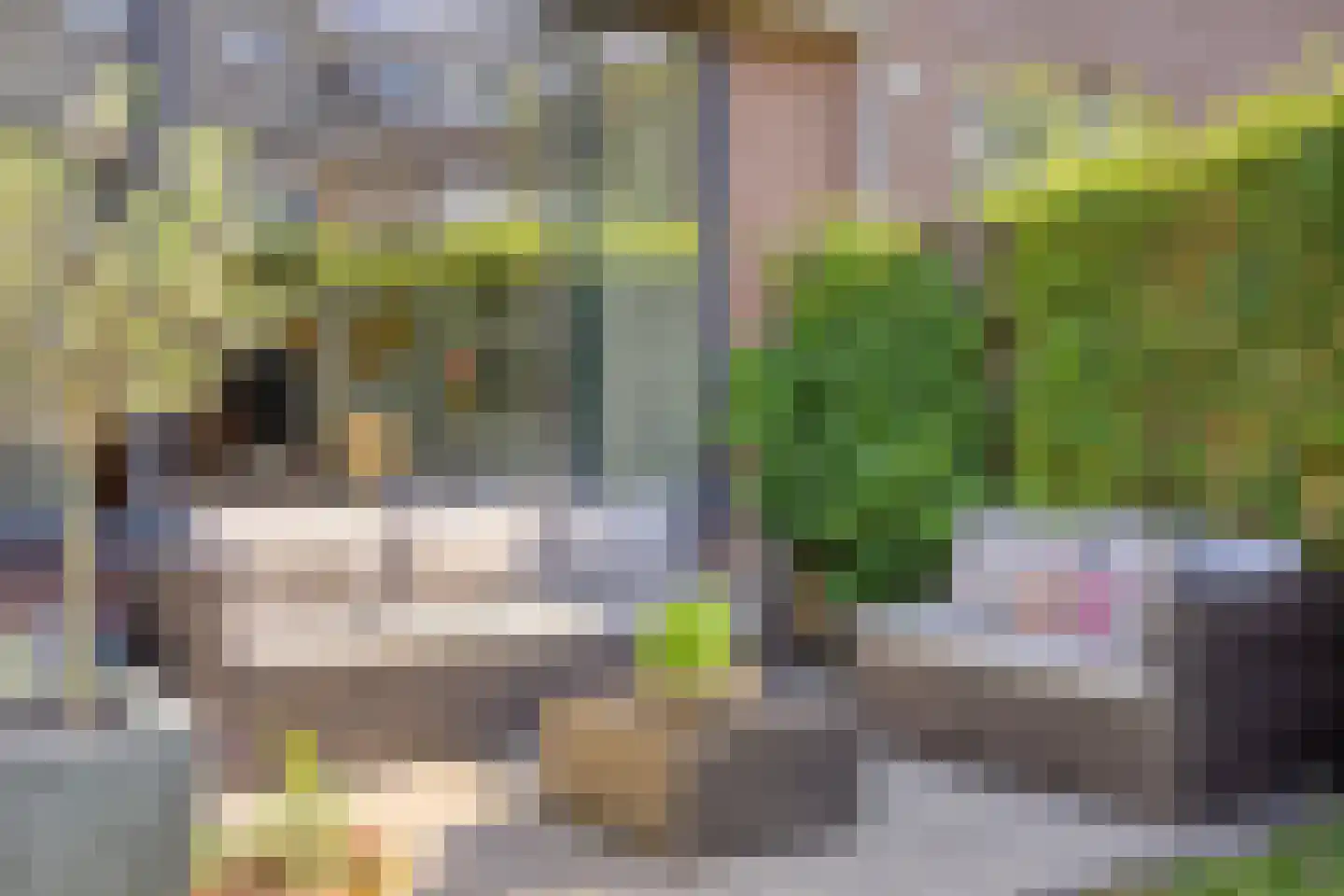 Jacob Roggeveenstraat 7 Oud-Beijerland thumbnail 30