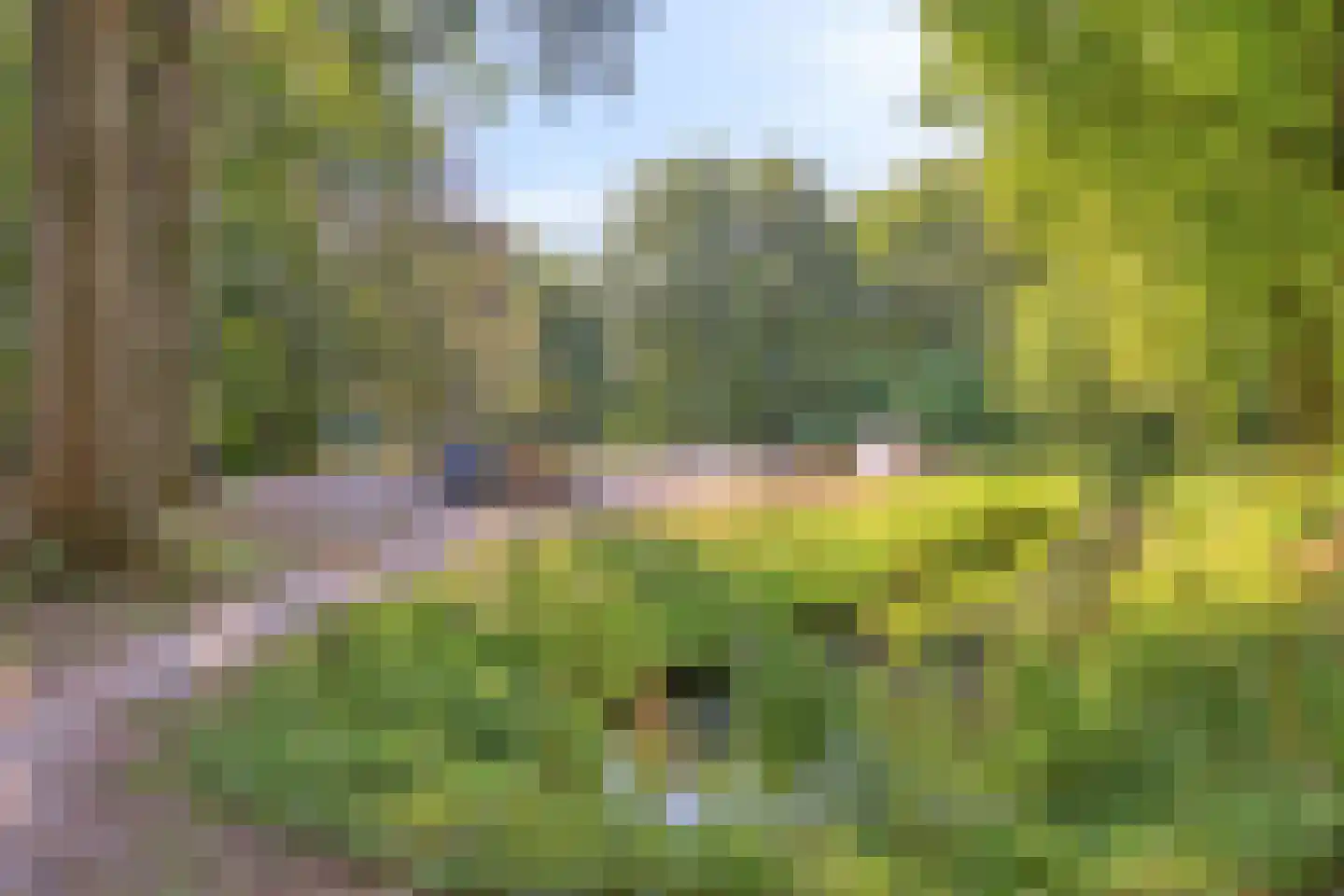 Jacob Roggeveenstraat 7 Oud-Beijerland thumbnail 32