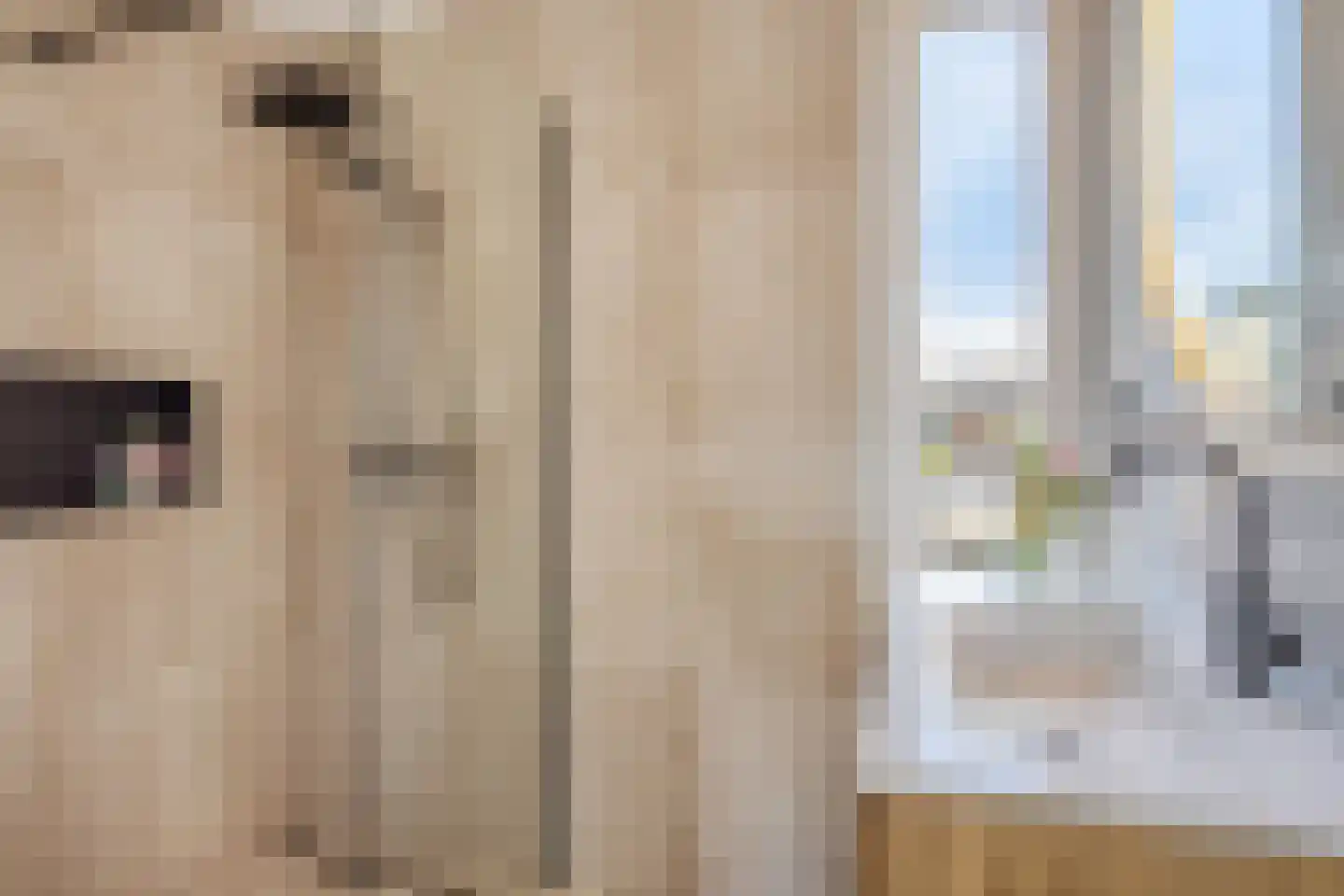 Jacob Roggeveenstraat 7 Oud-Beijerland thumbnail 4