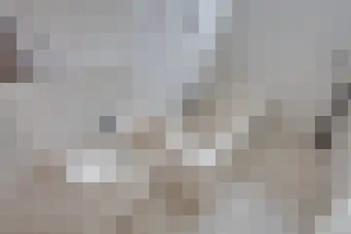 Jacob Romansstraat 1 Tilburg thumbnail 19
