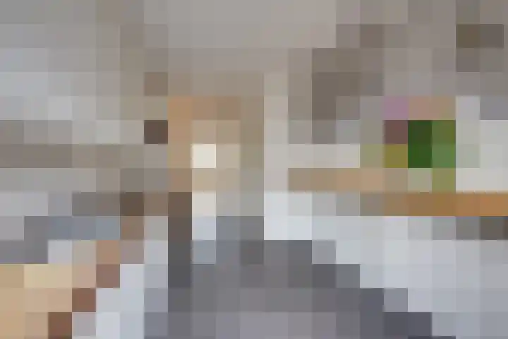 Jacob Romansstraat 1 Tilburg thumbnail 23