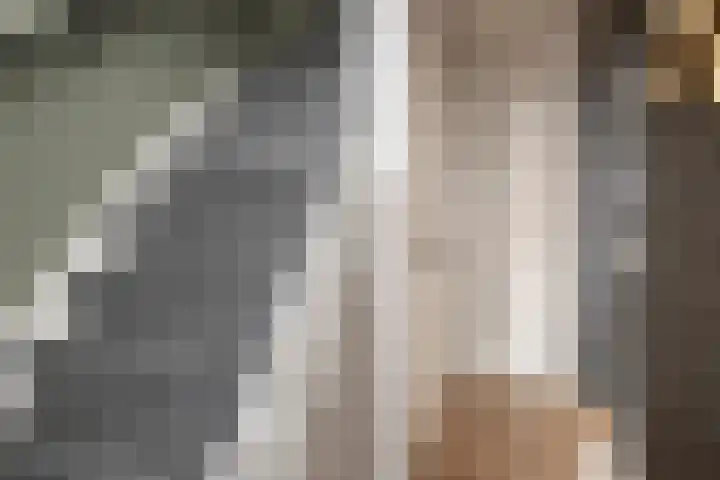 Jacob Romanstraat 13 Eindhoven thumbnail 10