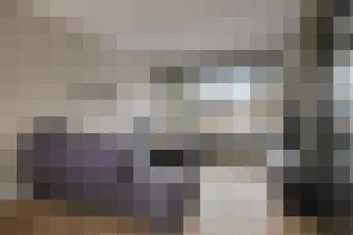 Jacob Romanstraat 13 Eindhoven thumbnail 11
