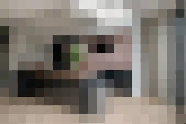 Jacob Romanstraat 13 Eindhoven thumbnail 17