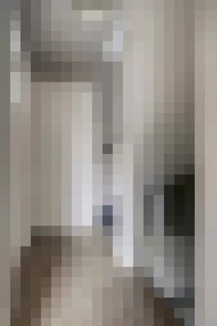 Jacob Romanstraat 13 Eindhoven thumbnail 21