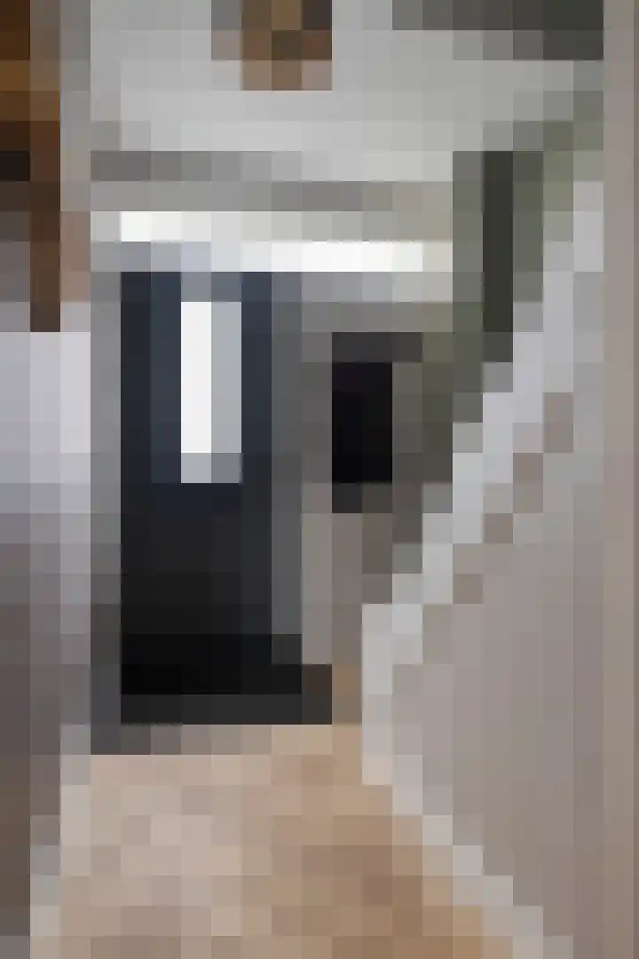 Jacob Romanstraat 13 Eindhoven thumbnail 8