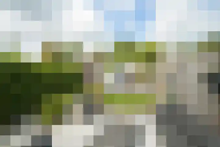 Jacob Romanstraat 31 Breda thumbnail 22