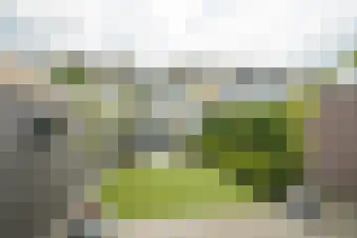 Jacob Romanstraat 31 Breda thumbnail 23