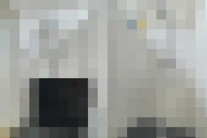 Jacob Romanstraat 31 Breda thumbnail 32