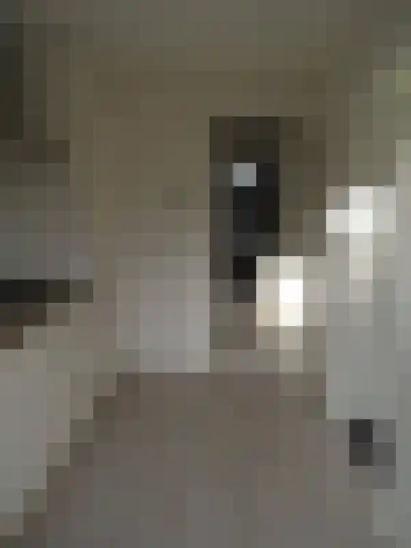 Jacob Romanstraat Eindhoven thumbnail 4