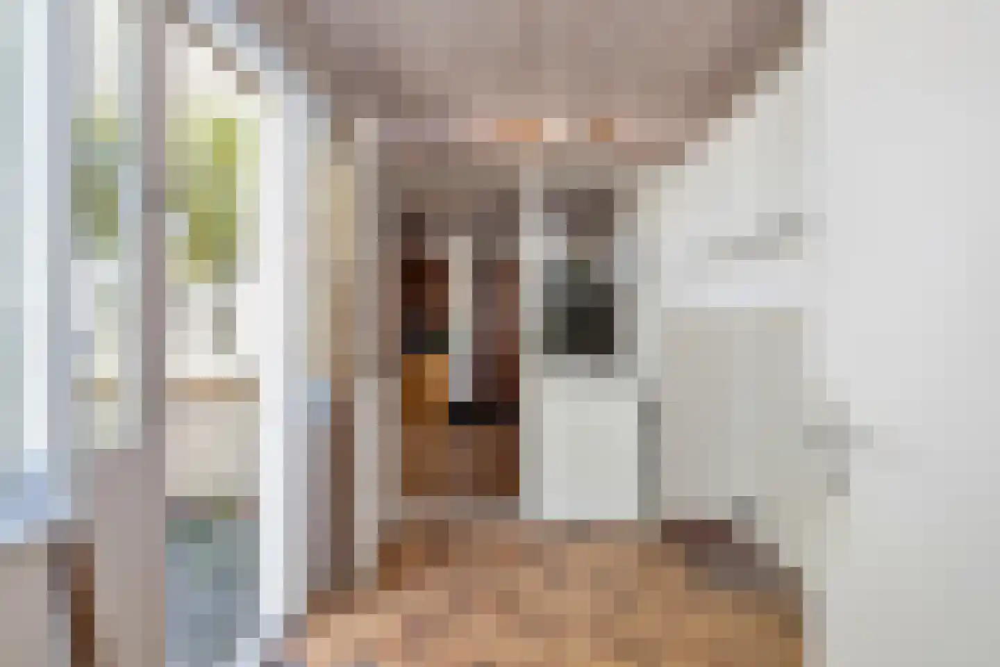 Jacob Ruijsdaellaan 15 Schagen thumbnail 20